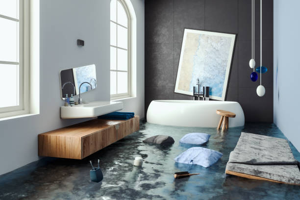 Best Mold removal after water damage  in Maywood, IL