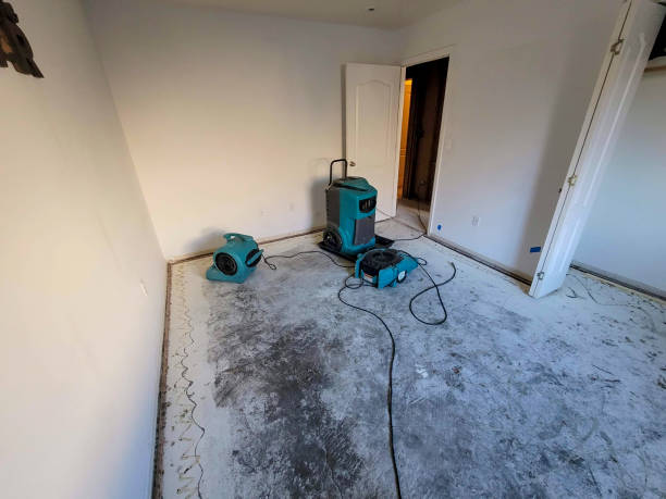 Best Flooded house restoration  in Maywood, IL