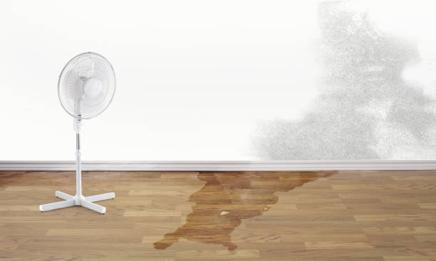 Best 24-hour water damage restoration  in Maywood, IL