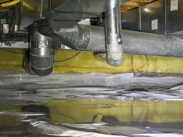 Best Water damage cleanup near me  in Maywood, IL
