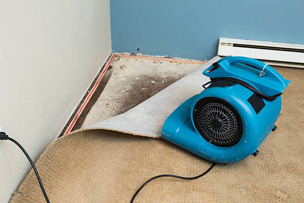 Best Commercial water damage restoration  in Maywood, IL